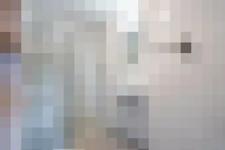 Moerasandoorn 3 Oudkarspel thumbnail 14