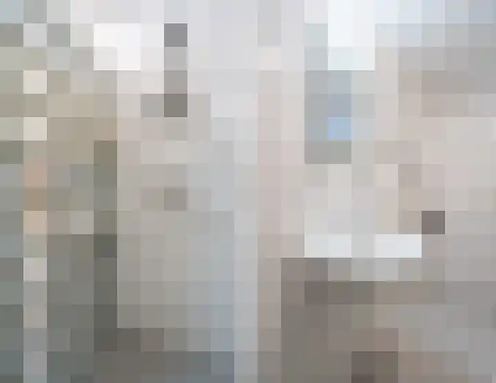 Moerasandoorn 3 Oudkarspel thumbnail 16