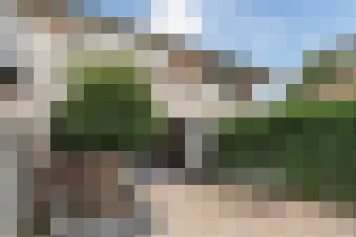 Moerasandoorn 3 Oudkarspel thumbnail 20