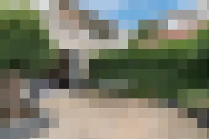 Moerasandoorn 3 Oudkarspel thumbnail 21