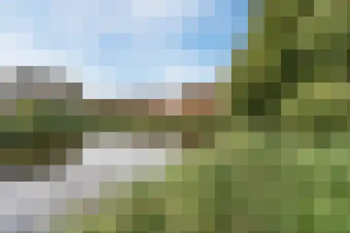 Moerasandoorn 3 Oudkarspel thumbnail 24