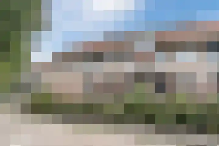 Moerasandoorn 3 Oudkarspel thumbnail 26