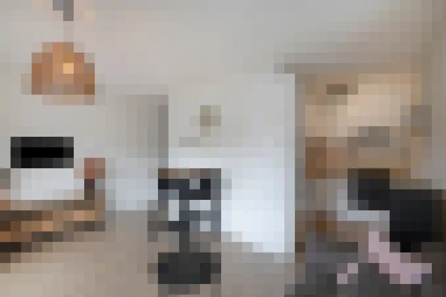 Moerasandoorn 9 Oudkarspel thumbnail 14