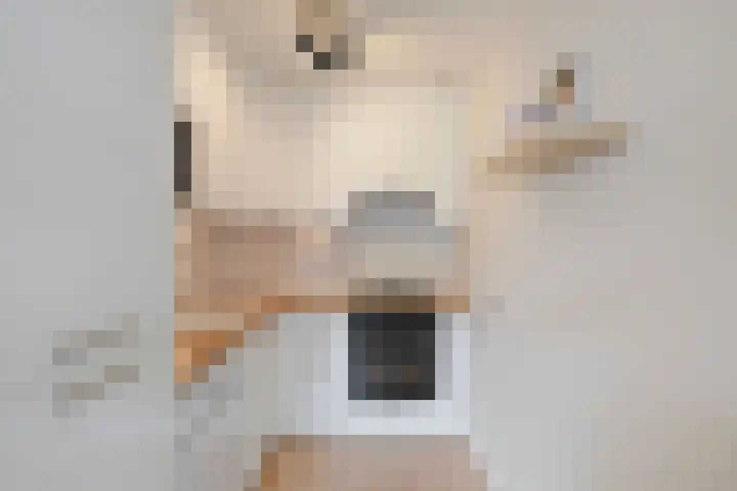 Moerasandoorn 9 Oudkarspel thumbnail 16