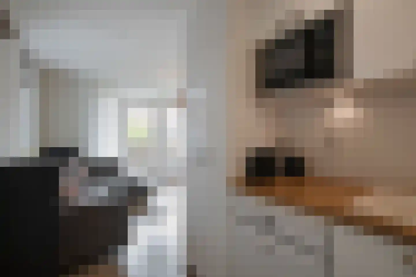 Moerasandoorn 9 Oudkarspel thumbnail 18