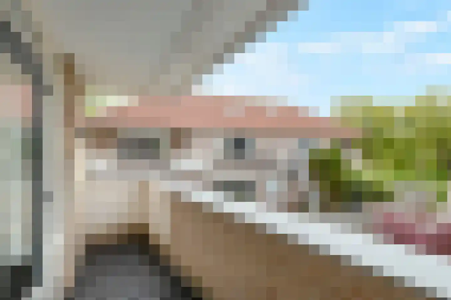 Moerasandoorn 9 Oudkarspel thumbnail 20