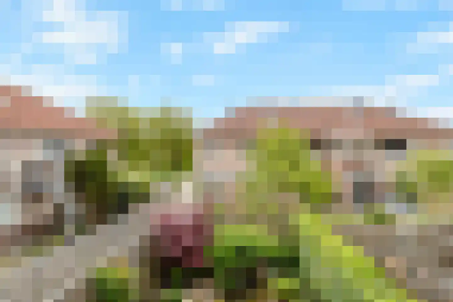 Moerasandoorn 9 Oudkarspel thumbnail 21