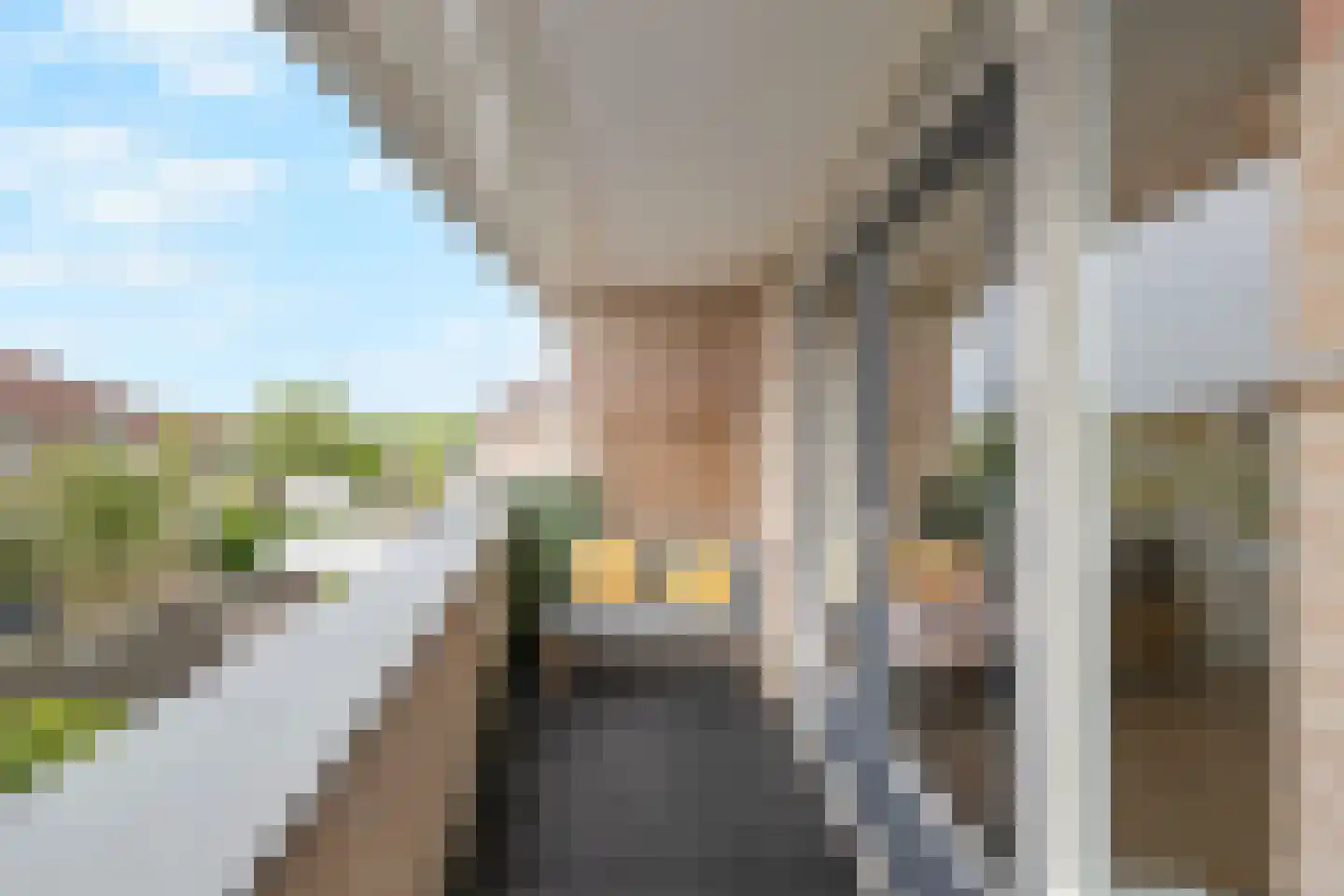Moerasandoorn 9 Oudkarspel thumbnail 22
