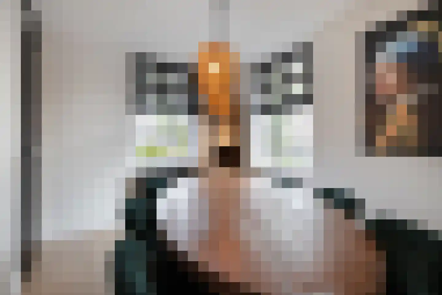 Moerasandoorn 9 Oudkarspel thumbnail 24