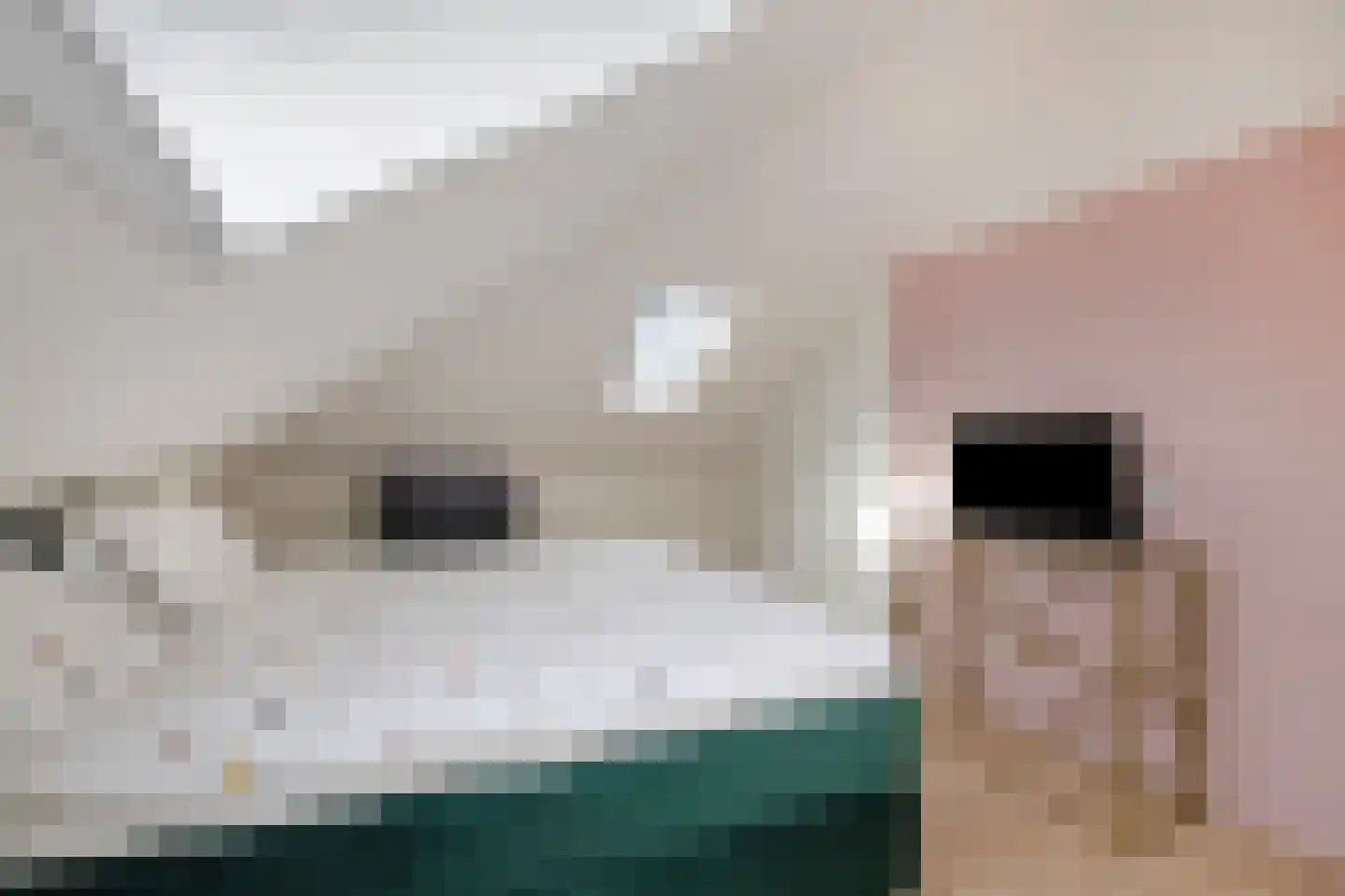 Moerasandoorn 9 Oudkarspel thumbnail 30