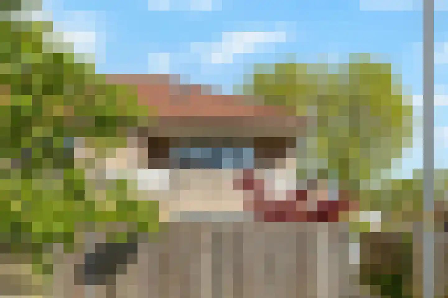 Moerasandoorn 9 Oudkarspel thumbnail 32