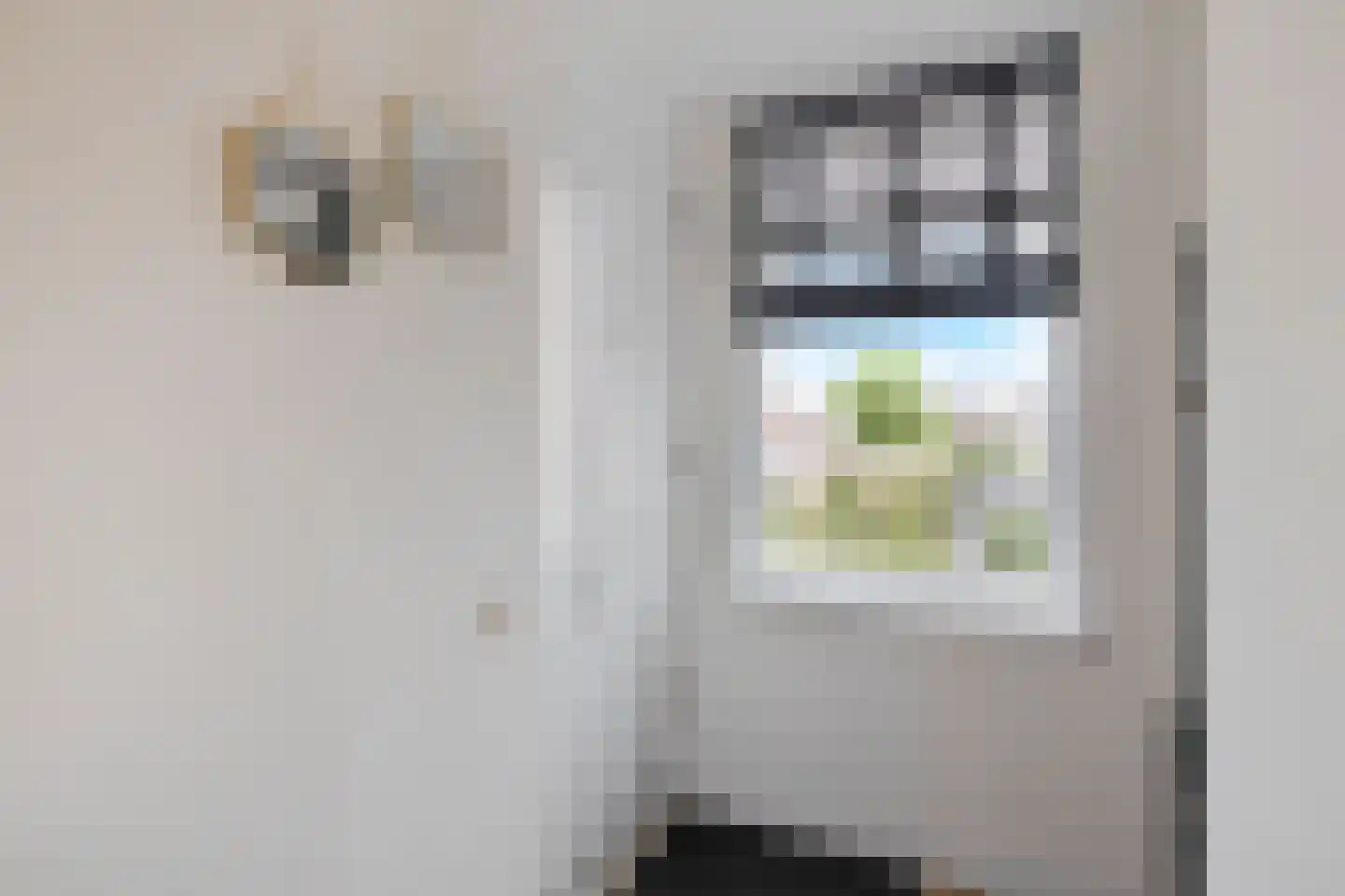 Moerasandoorn 9 Oudkarspel thumbnail 8