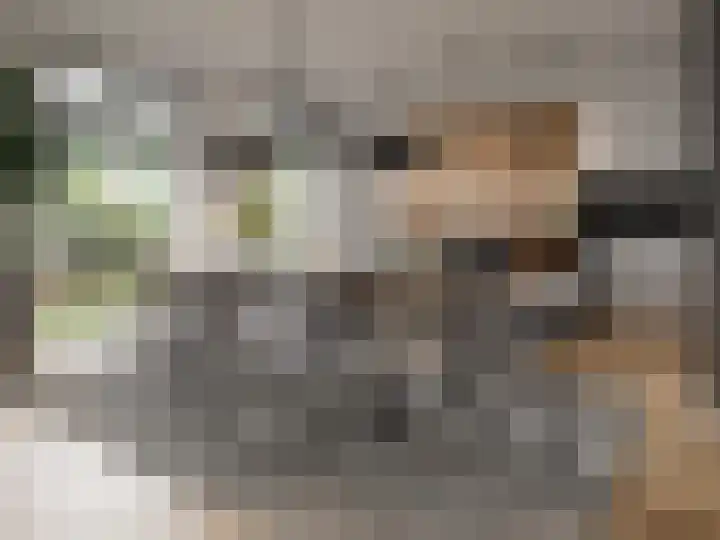 Moerasbeemd 3 Best foto 3