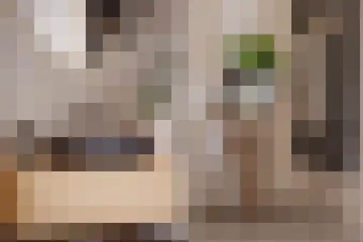 Moerasbeemd 3 Best thumbnail 6