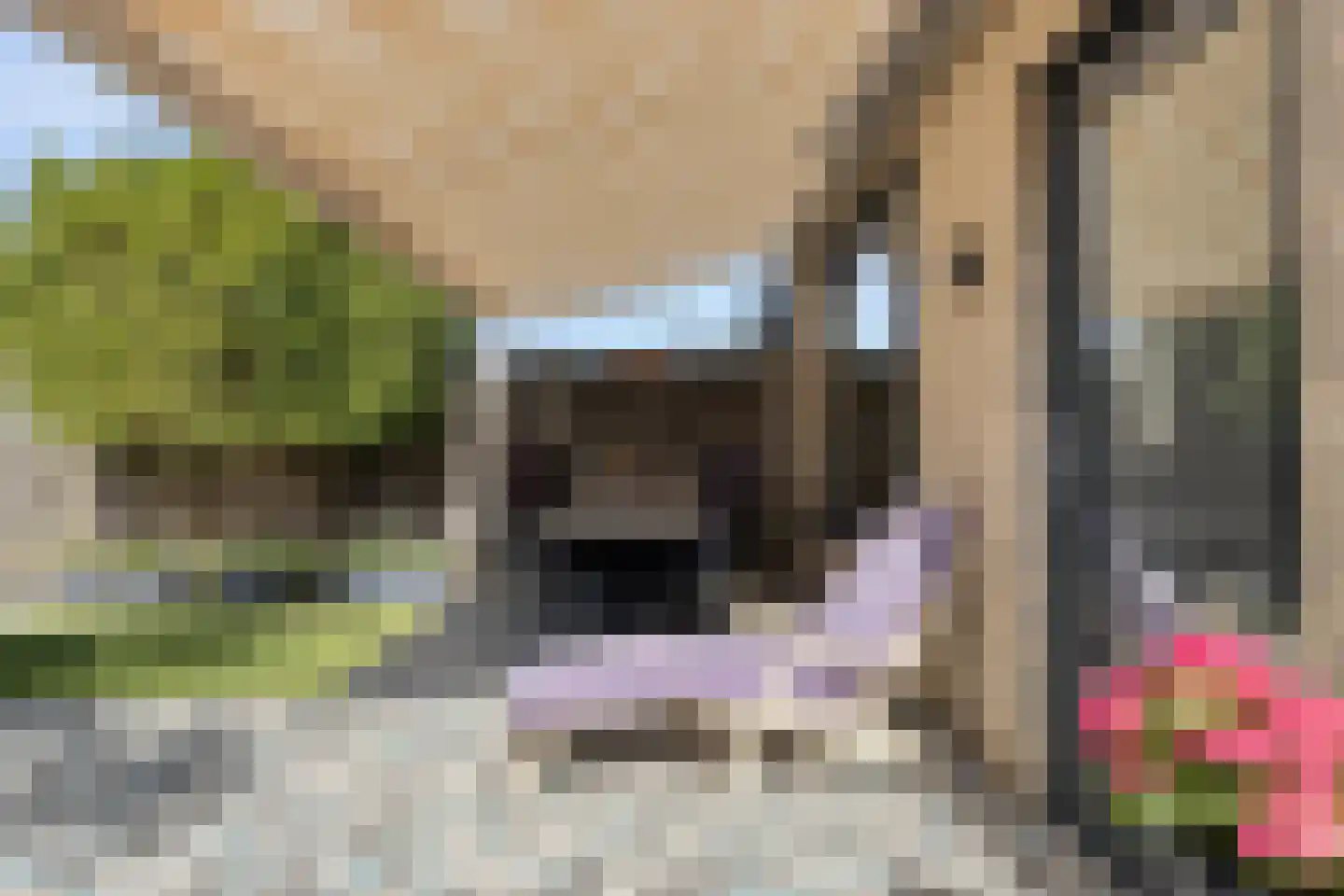 Moerasberg 1 Roosendaal thumbnail 32