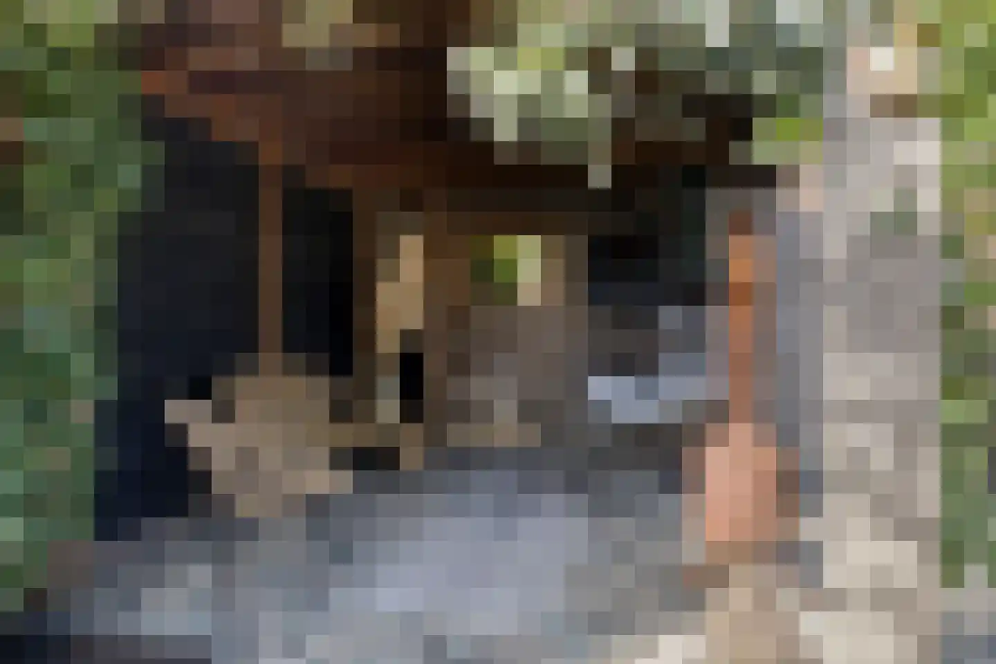 Moerasberg 1 Roosendaal thumbnail 36