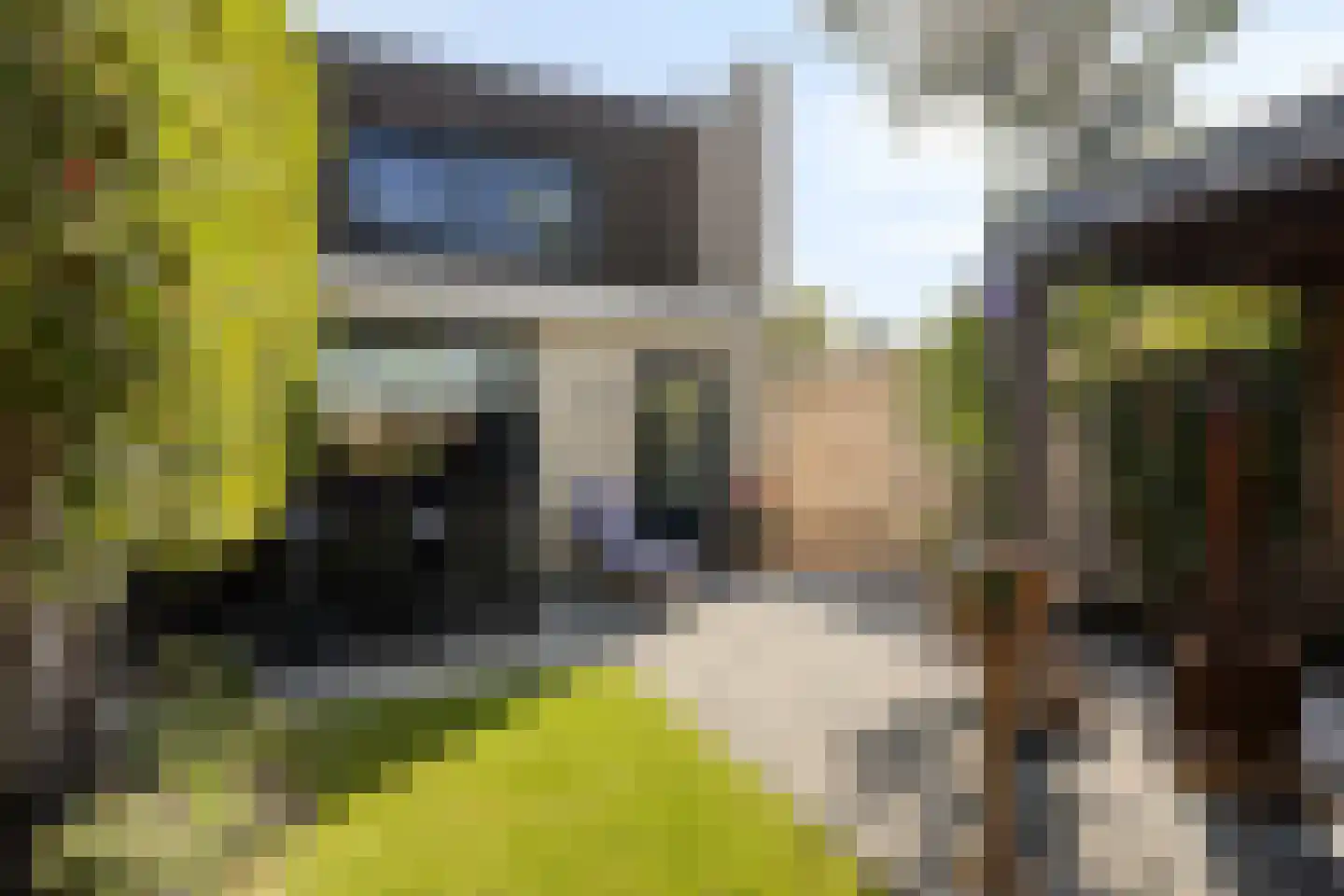 Moerasberg 1 Roosendaal thumbnail 38