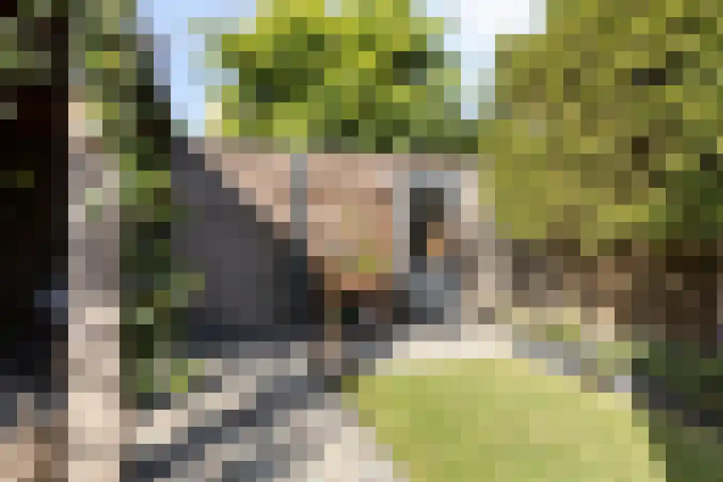 Moerasberg 1 Roosendaal thumbnail 39