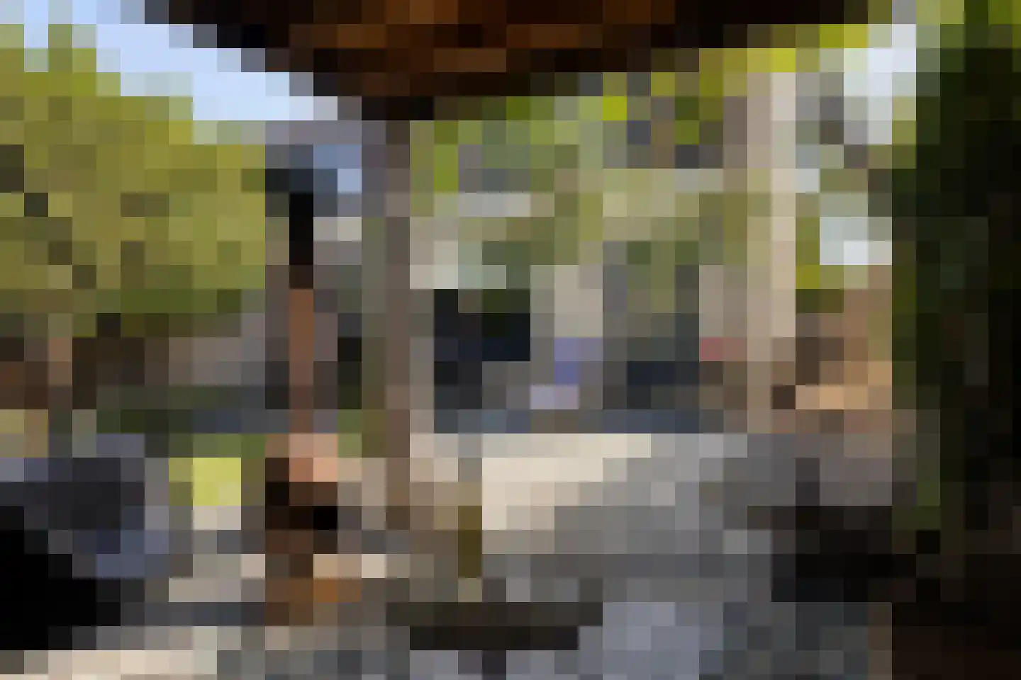 Moerasberg 1 Roosendaal thumbnail 4