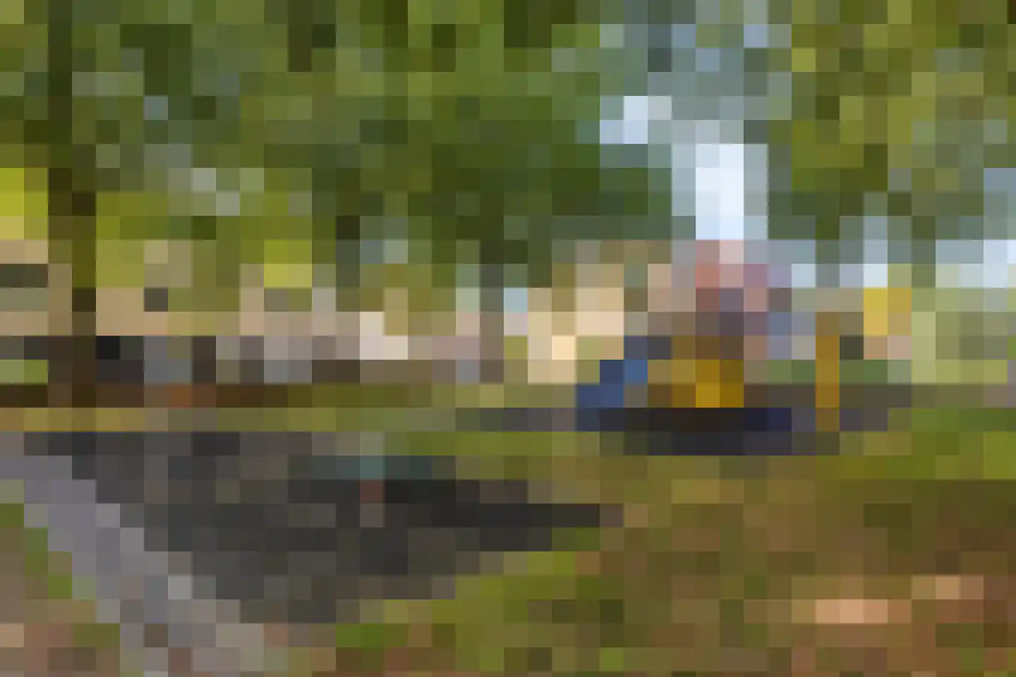 Moerasberg 1 Roosendaal thumbnail 43