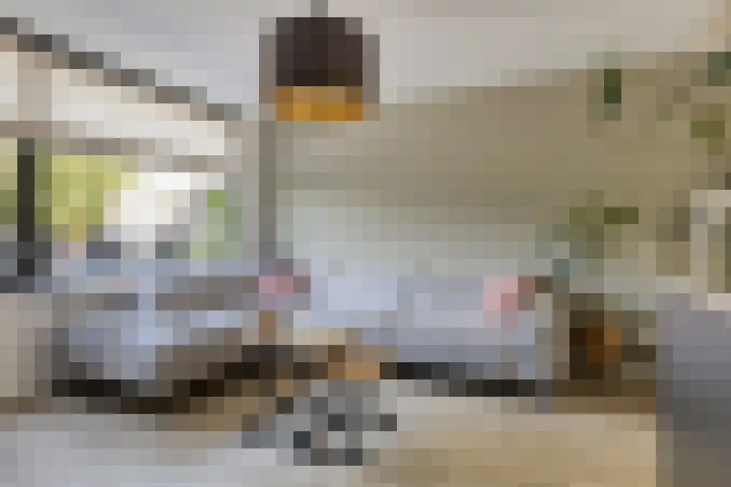 Moerasberg 1 Roosendaal thumbnail 8