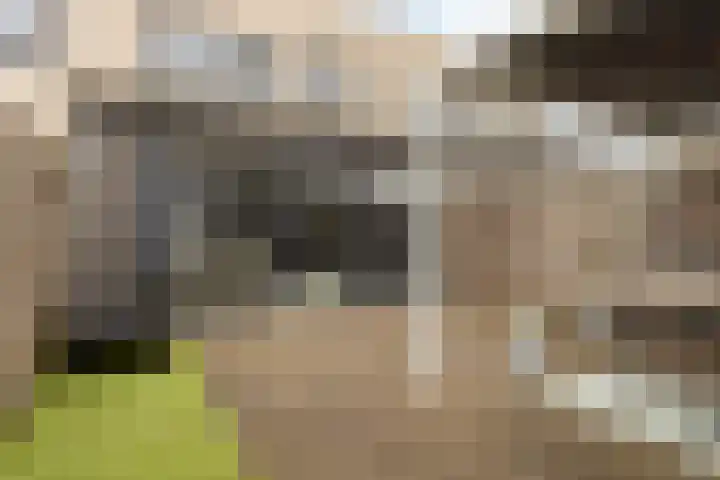 Moerasberg 14 Roosendaal thumbnail 31