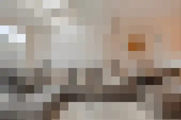 Moerasberg 14 Roosendaal thumbnail 8