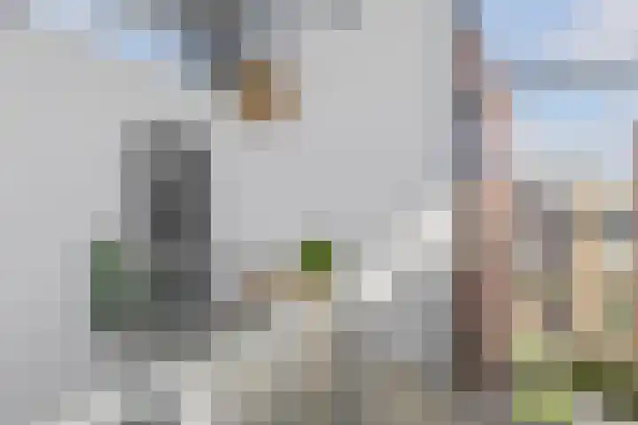 Moerasberg 31 Roosendaal thumbnail 17