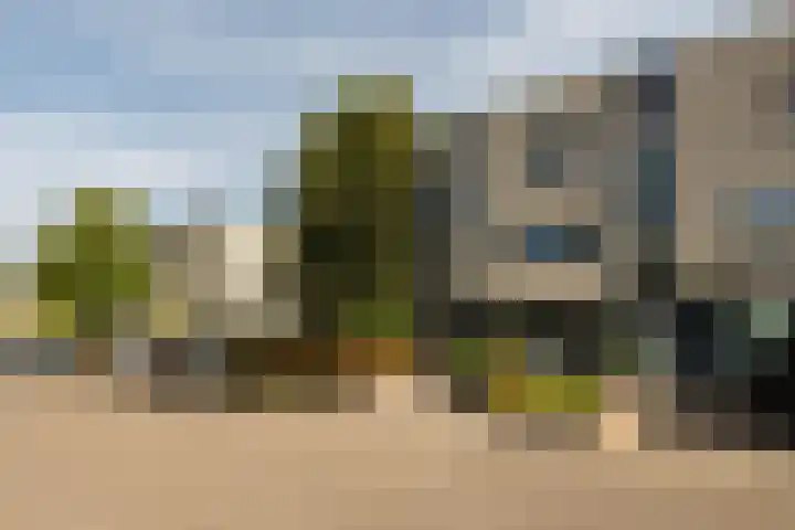 Moerasberg 56 Roosendaal thumbnail 34