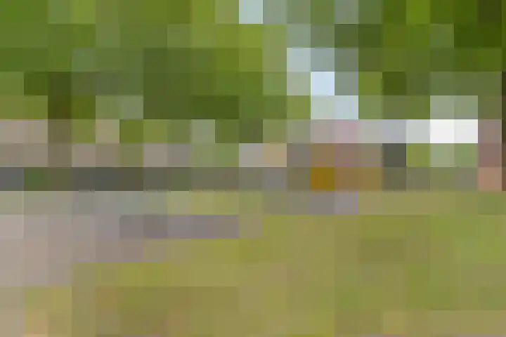 Moerasberg 57 Roosendaal thumbnail 31