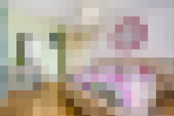 Moerashoeve 113 Nieuwegein thumbnail 27
