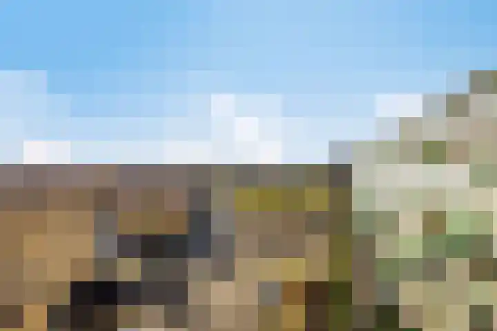 Moerashoeve 113 Nieuwegein thumbnail 29