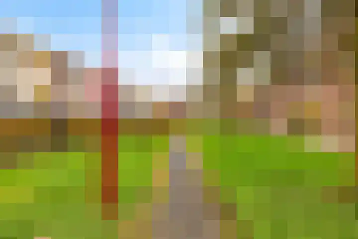 Moerashoeve 113 Nieuwegein thumbnail 38
