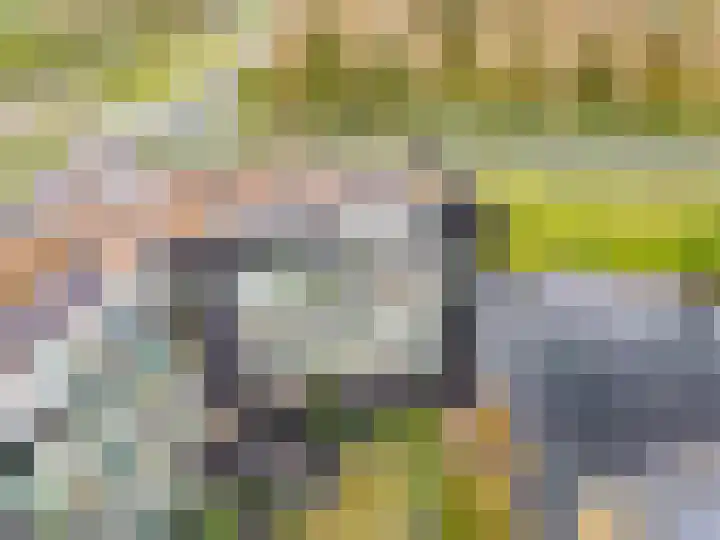 Moerashoeve 113 Nieuwegein thumbnail 4