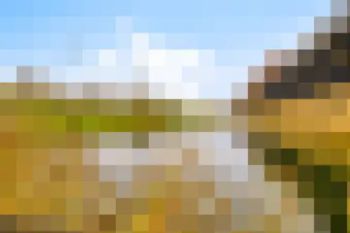 Moerashoeve 113 Nieuwegein thumbnail 40