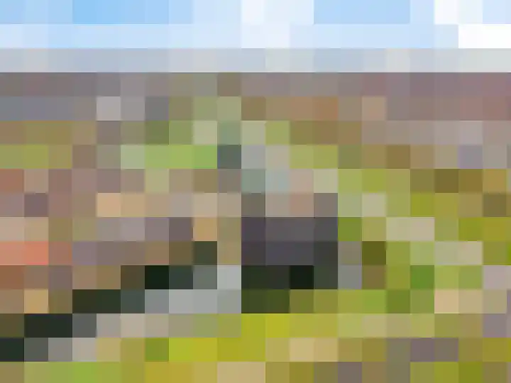Moerashoeve 113 Nieuwegein thumbnail 45