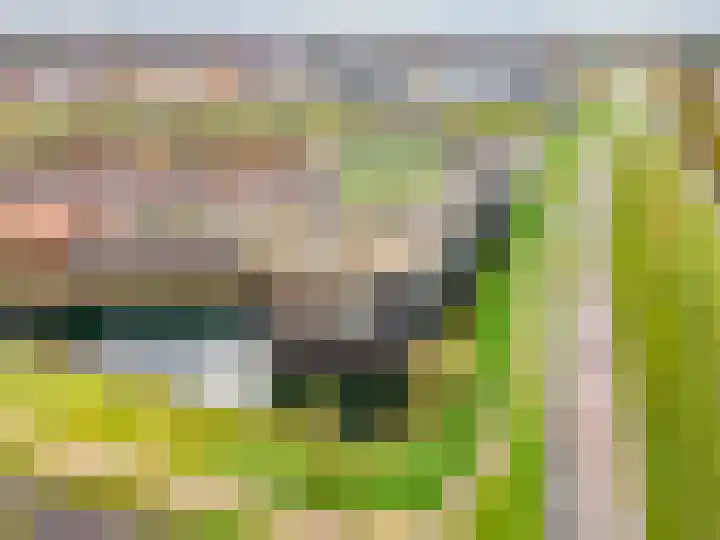 Moerashoeve 113 Nieuwegein thumbnail 46