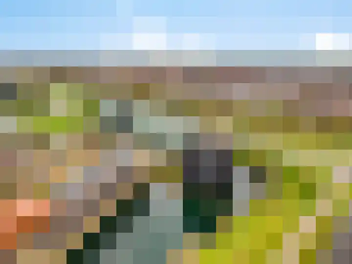 Moerashoeve 113 Nieuwegein thumbnail 6