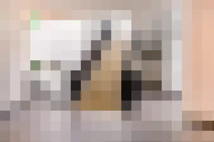 Moerashoeve 113 Nieuwegein thumbnail 8