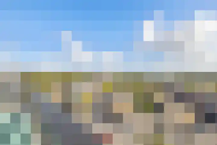 Moerashoeve 124 Nieuwegein thumbnail 13
