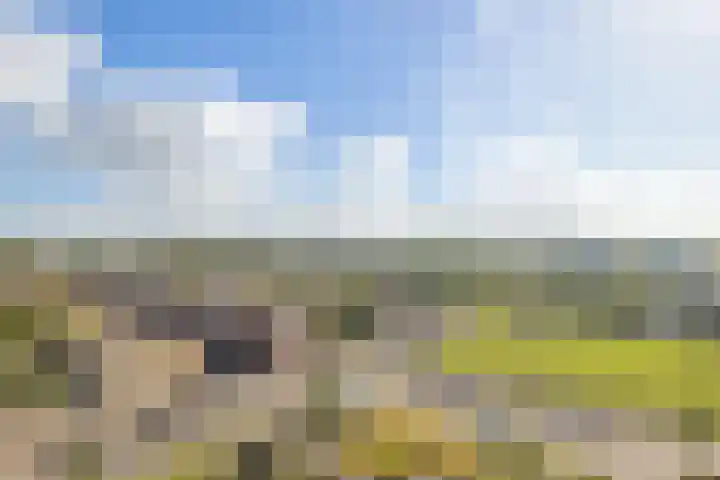 Moerashoeve 124 Nieuwegein thumbnail 14
