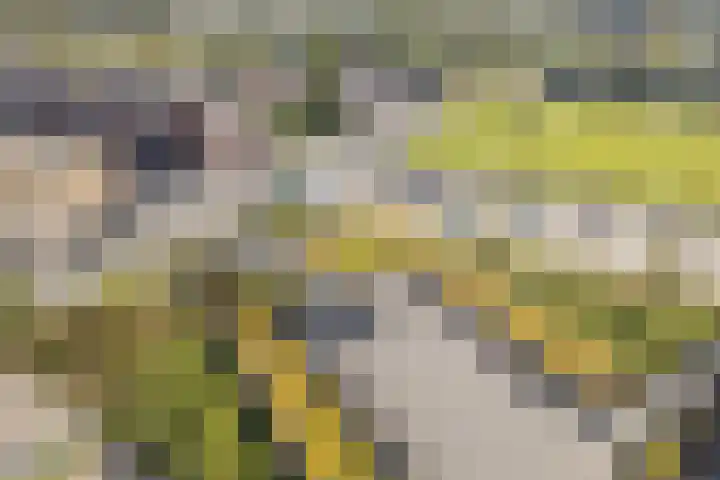 Moerashoeve 124 Nieuwegein thumbnail 20