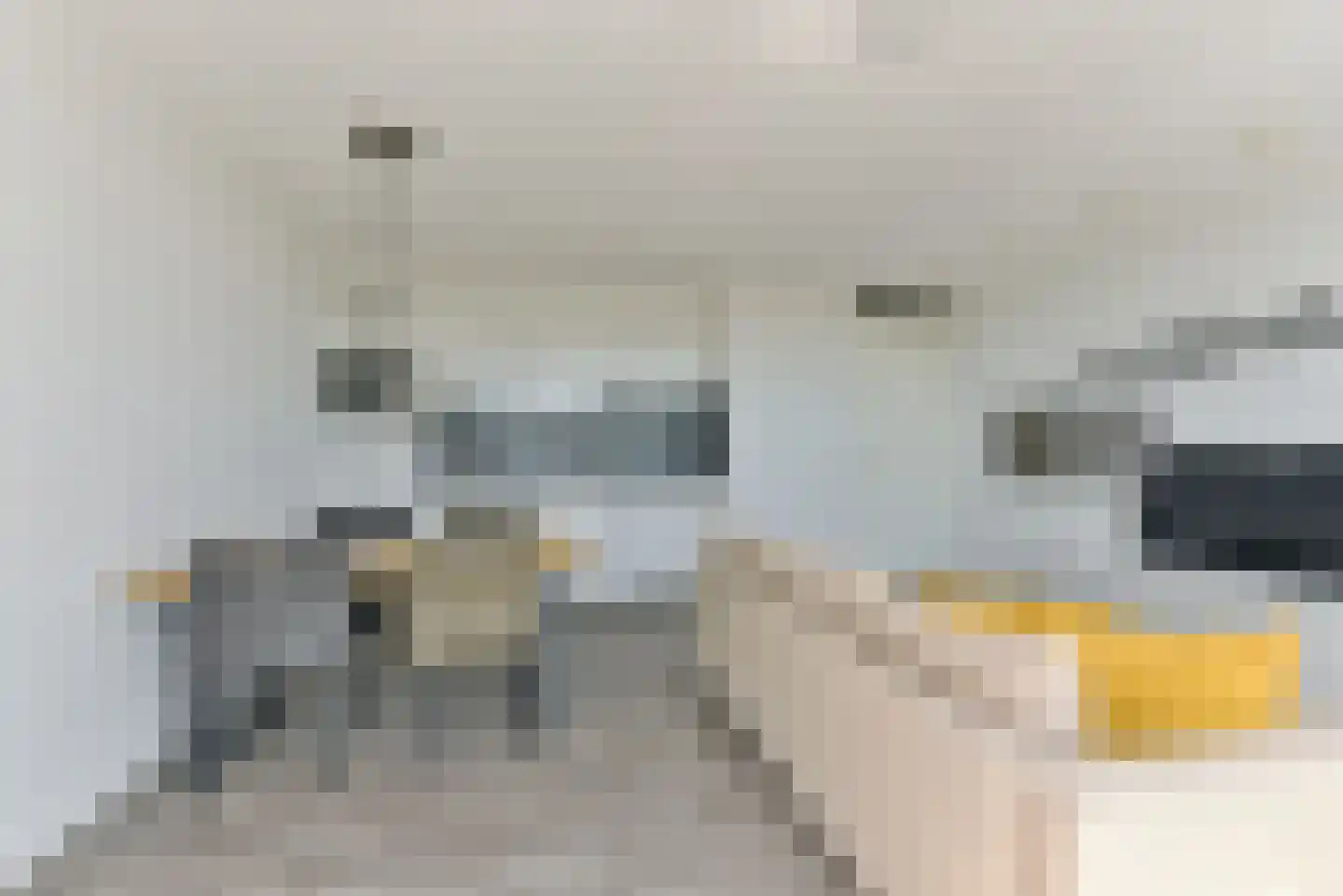 Moerashoeve 128 Nieuwegein thumbnail 12