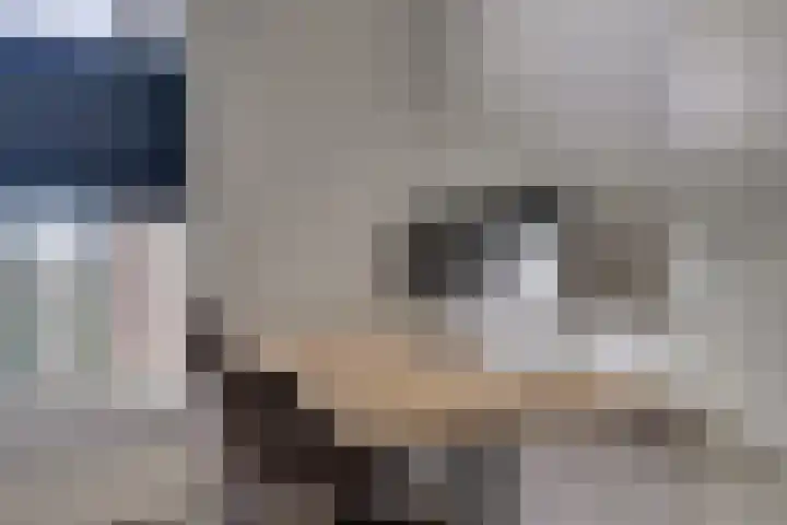 Moerashoeve 129 Nieuwegein thumbnail 17