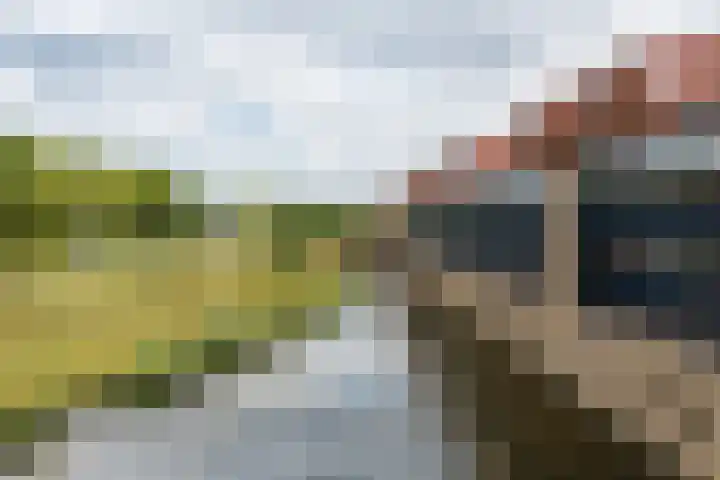 Moerashoeve 129 Nieuwegein thumbnail 34