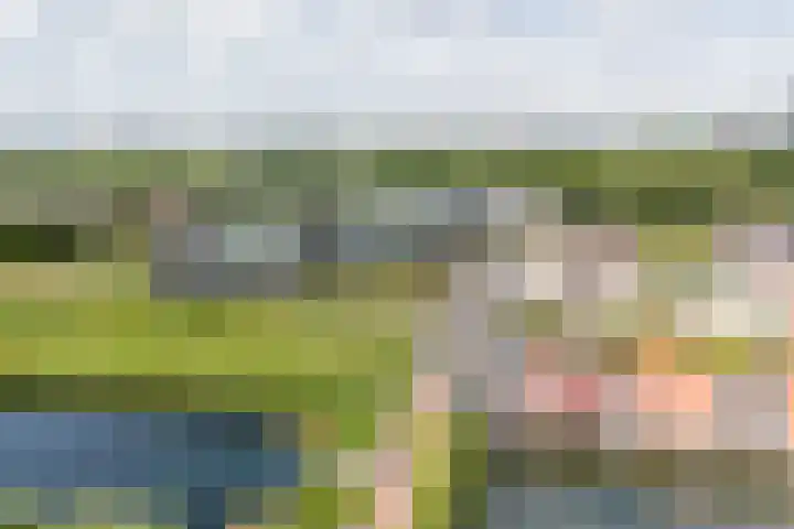 Moerashoeve 129 Nieuwegein thumbnail 35