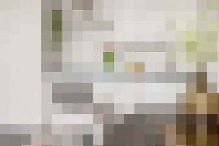 Moerashoeve 131 Nieuwegein thumbnail 12