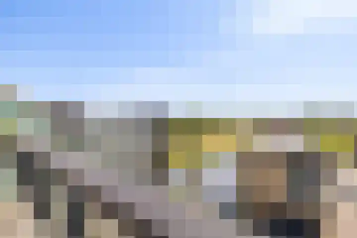 Moerashoeve 131 Nieuwegein thumbnail 15
