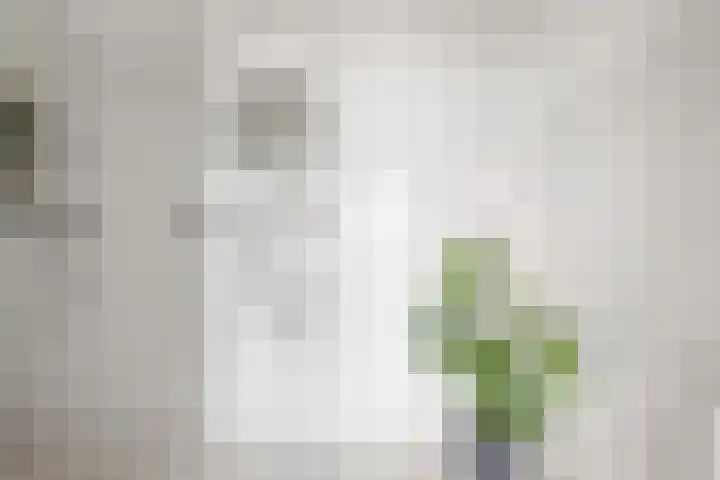 Moerashoeve 131 Nieuwegein thumbnail 21