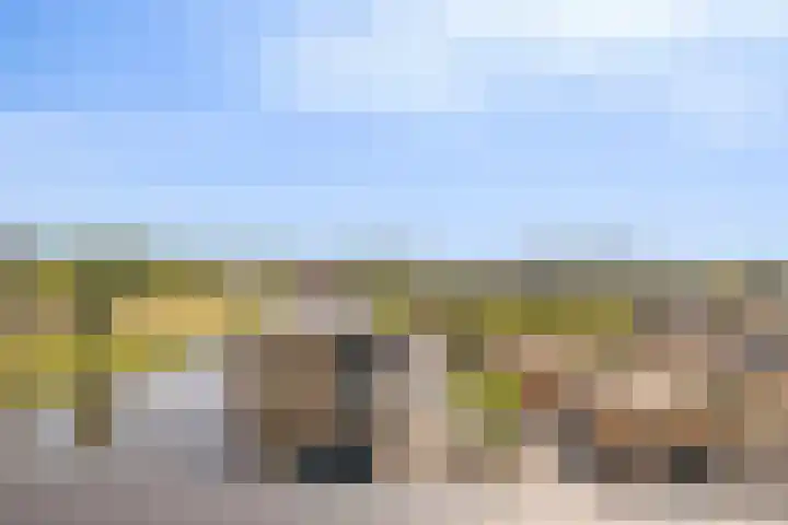 Moerashoeve 131 Nieuwegein thumbnail 24